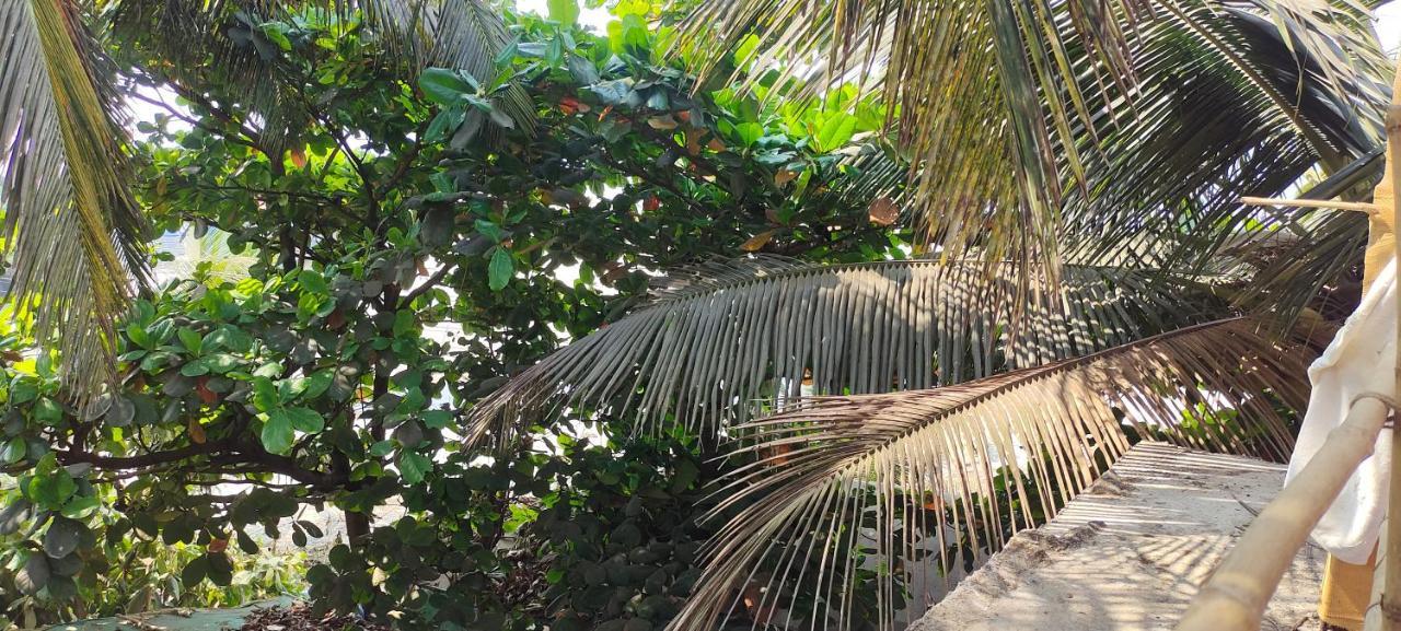 Est Hem Guesthouse Arambol Kültér fotó